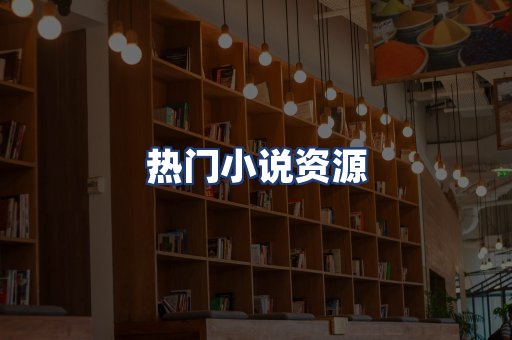 热门小说资源